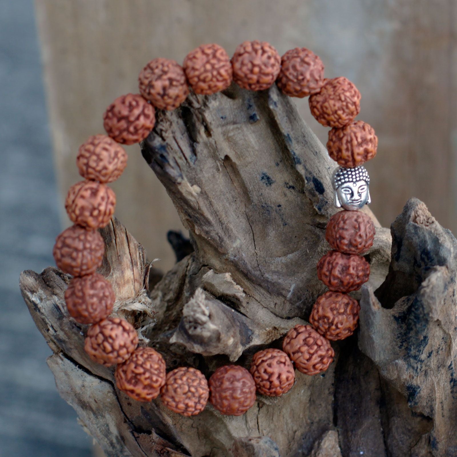 Bracelet rudraksha avec tête de Bouddha sur morceau de bois style spirituel naturel
