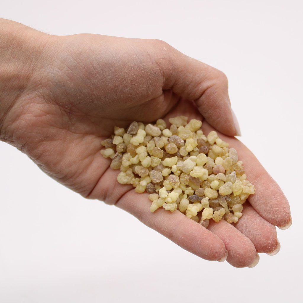 Gros plan sur des morceaux de résine d’oliban claire aux nuances ivoire et dorées, accompagnés d’une main tenant quelques grains pour mettre en valeur leur aspect naturel et leur taille