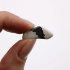 Pierres Roulées Howlite Blanche | Lot de 24 Petites Pierres Naturelles