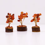 Arbre en Pierre Cornaline | Décoration Zen Naturelle sur Socle Bois