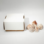 Pointes Polies Matrix & Tourmaline | Lot de 5-6 Pierres Naturelles
