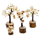 Arbres de Pierres Gomati Chakra | Set de 4 Tailles Décoration Zen