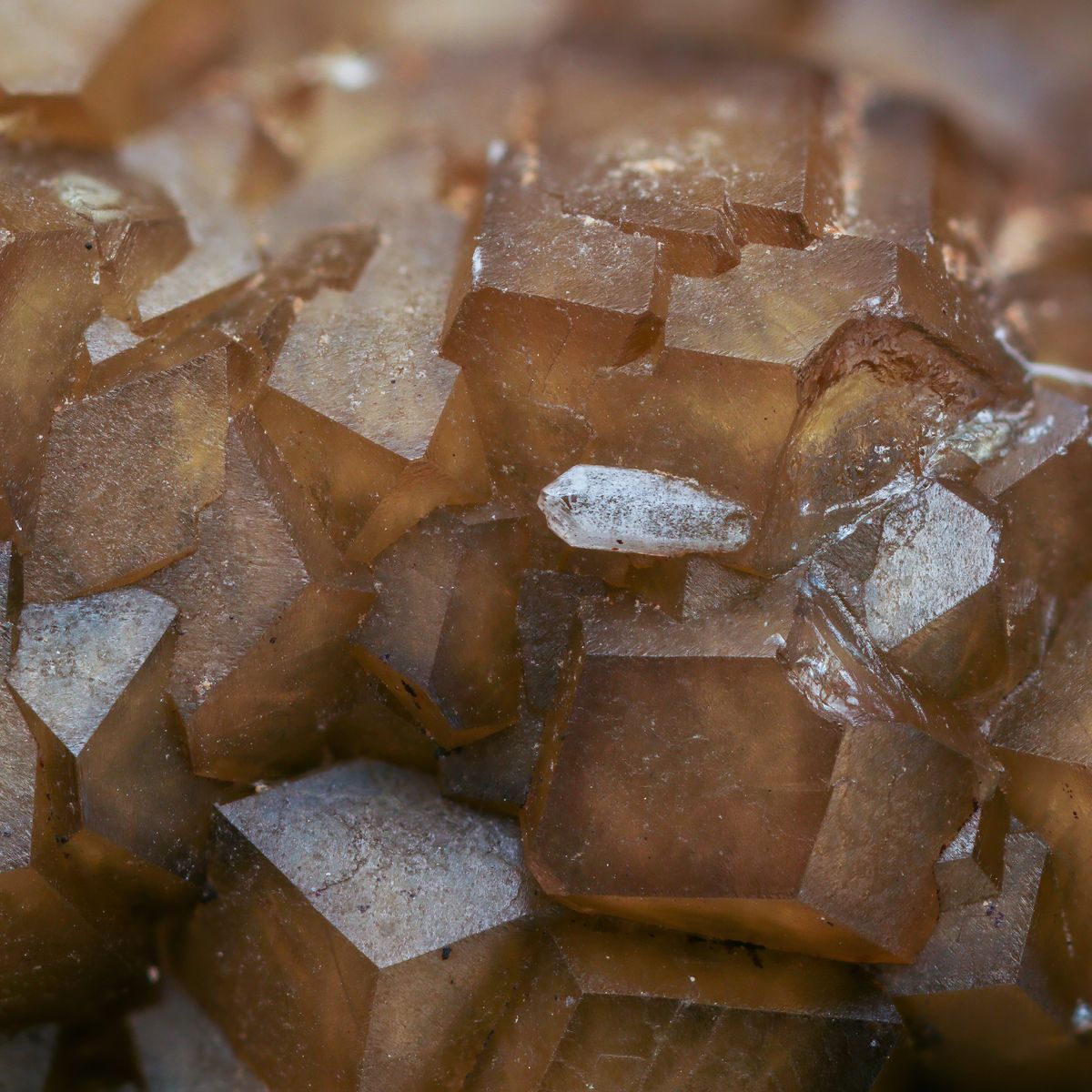 Cristaux de calcite brune translucide