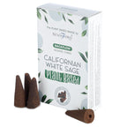 Boite de cones d encens backflow naturels senteur sauge avec cones marron poses devant packaging blanc vegetal
