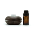 Diffuseur sans eau compact avec flacon installé prêt à être utilisé dans un intérieur