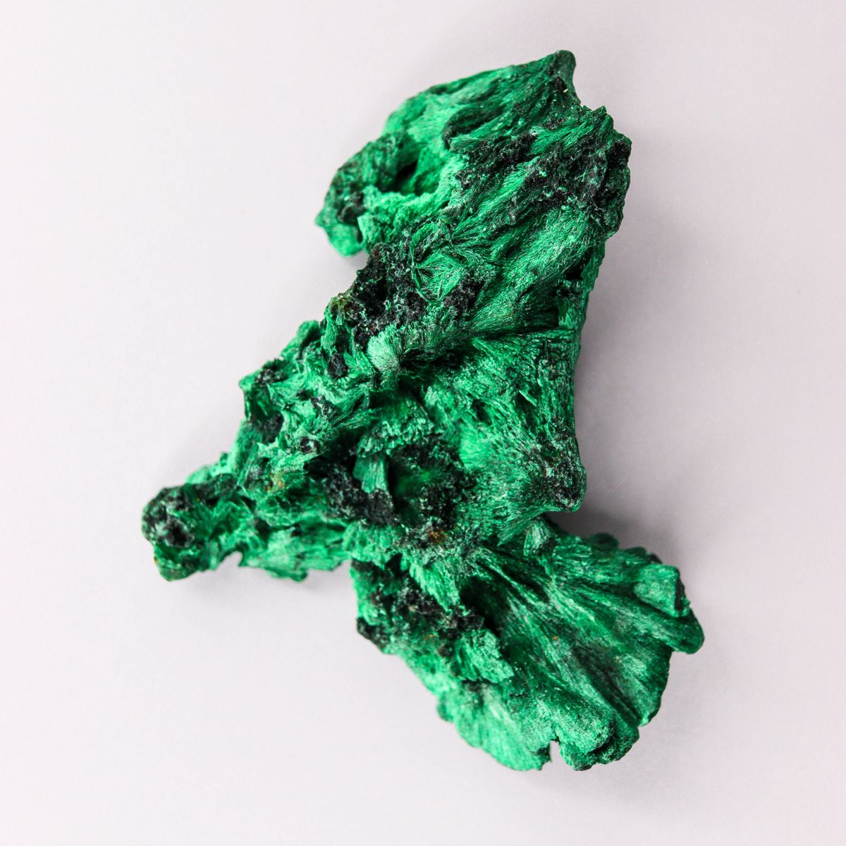 Malachite verte vive sur fond blanc