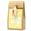 Sel de bain 500g pamplemousse et géranium présenté dans un sachet kraft avec étiquette jaune et cuillère en bois